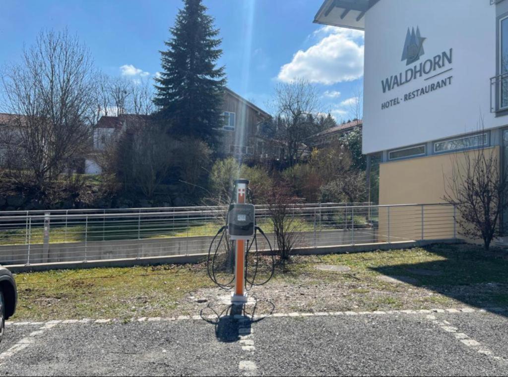 קמפטן Hotel Waldhorn מראה חיצוני תמונה